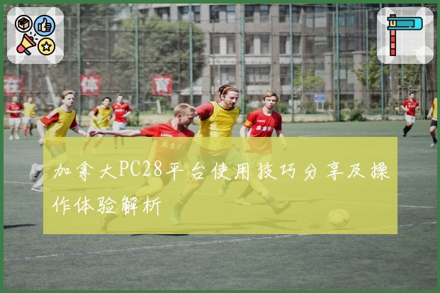 加拿大PC28平台使用技巧分享及操作体验解析