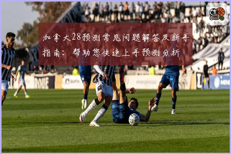 加拿大28预测常见问题解答及新手指南：帮助您快速上手预测分析