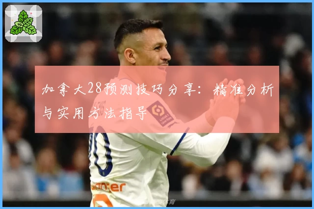 加拿大28预测技巧分享：精准分析与实用方法指导
