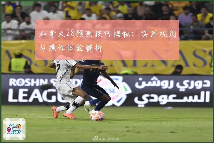 加拿大28预测技巧揭秘：实用规则与操作体验解析