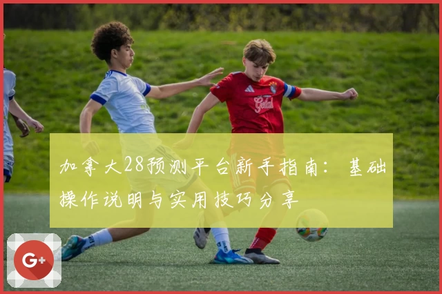 加拿大28预测平台新手指南：基础操作说明与实用技巧分享