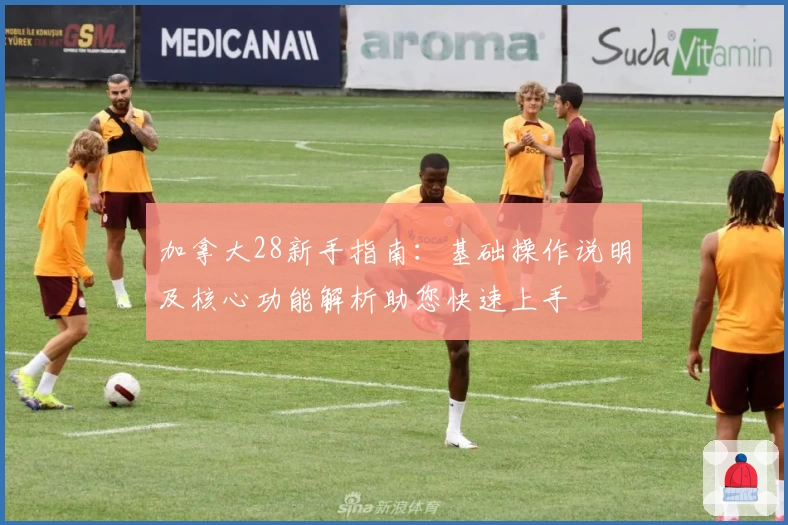 加拿大28新手指南：基础操作说明及核心功能解析助您快速上手