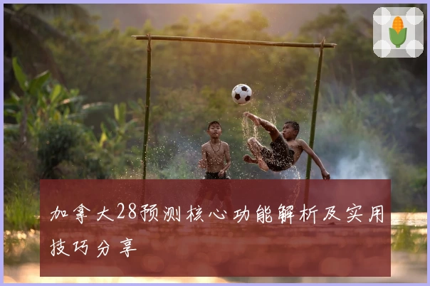 加拿大28预测核心功能解析及实用技巧分享