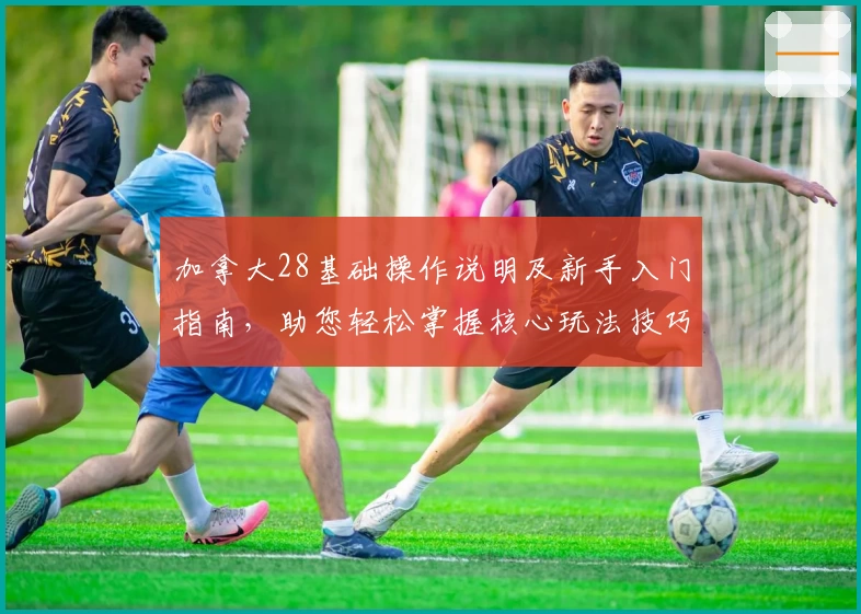 加拿大28基础操作说明及新手入门指南,助您轻松掌握核心玩法技巧