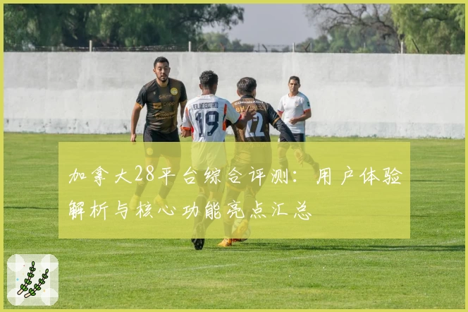 加拿大28平台综合评测：用户体验解析与核心功能亮点汇总