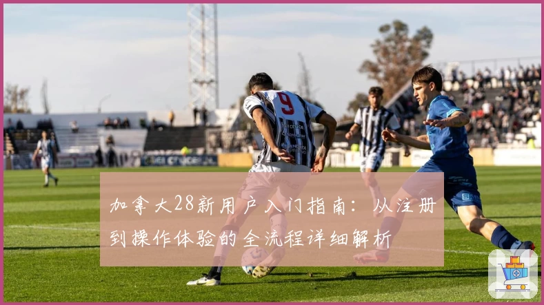 加拿大28新用户入门指南：从注册到操作体验的全流程详细解析