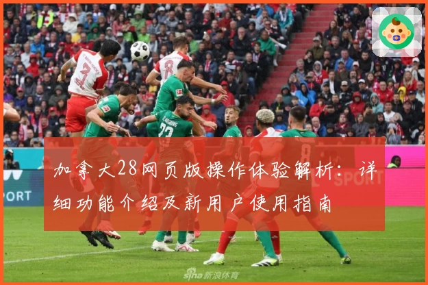 加拿大28网页版操作体验解析：详细功能介绍及新用户使用指南