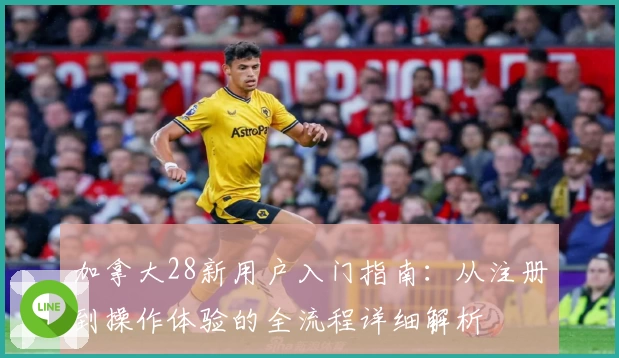 加拿大28新用户入门指南：从注册到操作体验的全流程详细解析