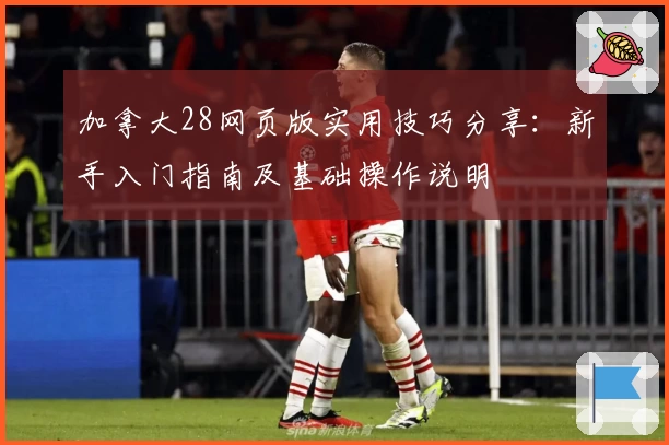 加拿大28网页版实用技巧分享：新手入门指南及基础操作说明