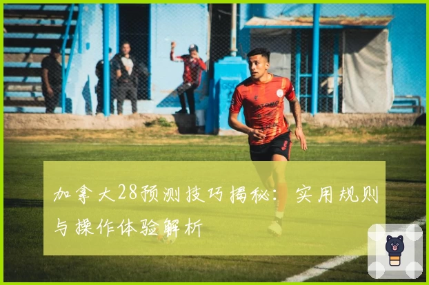 加拿大28预测技巧揭秘：实用规则与操作体验解析