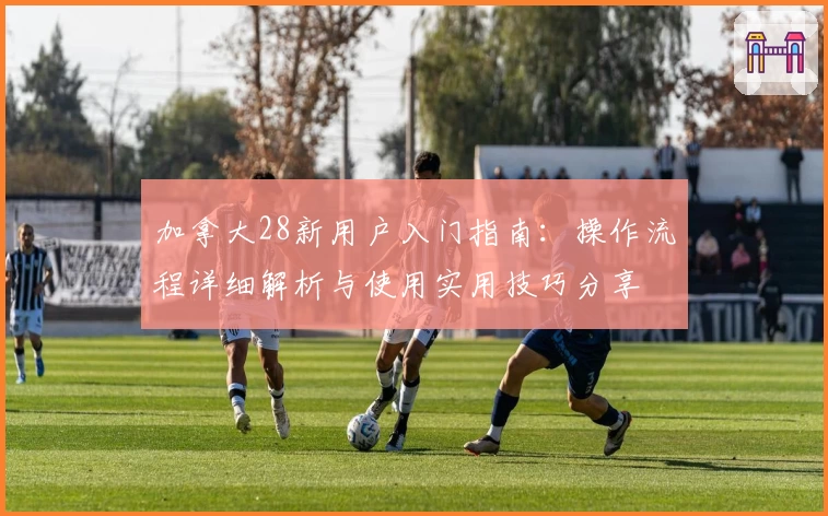 加拿大28新用户入门指南：操作流程详细解析与使用实用技巧分享