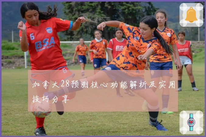 加拿大28预测核心功能解析及实用技巧分享