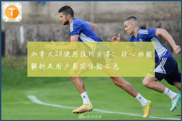 加拿大28使用技巧分享：核心功能解析及用户真实体验汇总