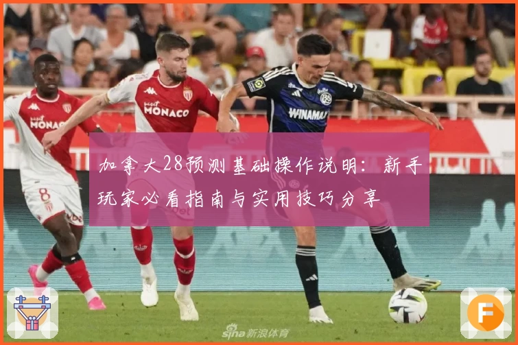 加拿大28预测基础操作说明：新手玩家必看指南与实用技巧分享