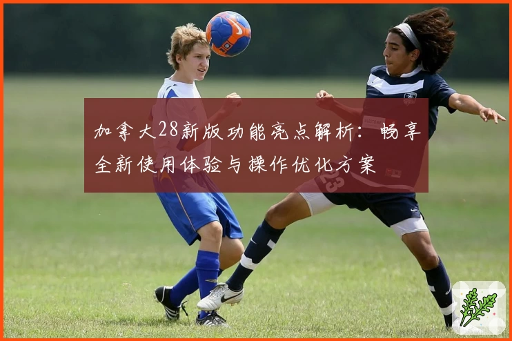 加拿大28新版功能亮点解析：畅享全新使用体验与操作优化方案