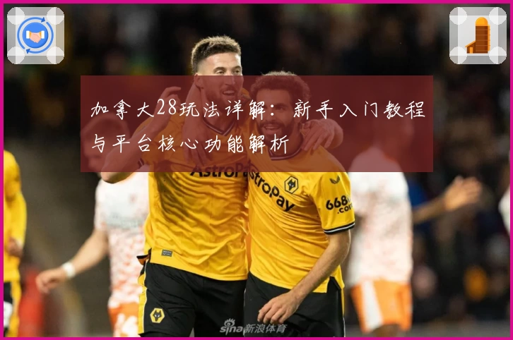 加拿大28玩法详解：新手入门教程与平台核心功能解析