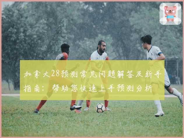 加拿大28预测常见问题解答及新手指南：帮助您快速上手预测分析